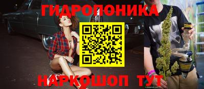 mdpv Брянск