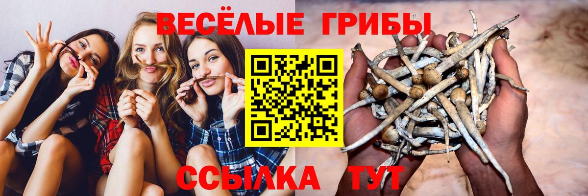 Псилоцибиновые грибы Magic Shrooms  Вход с VPN  Барнаул 